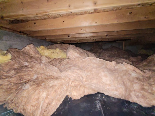 Choose a Trusted Local Crawlspace Company for Reliable Solutions