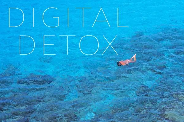 Why Detox Services in Portland Are Important for Recovery