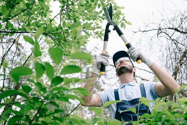 Professional Tree Service Near Me with Free Estimates Available