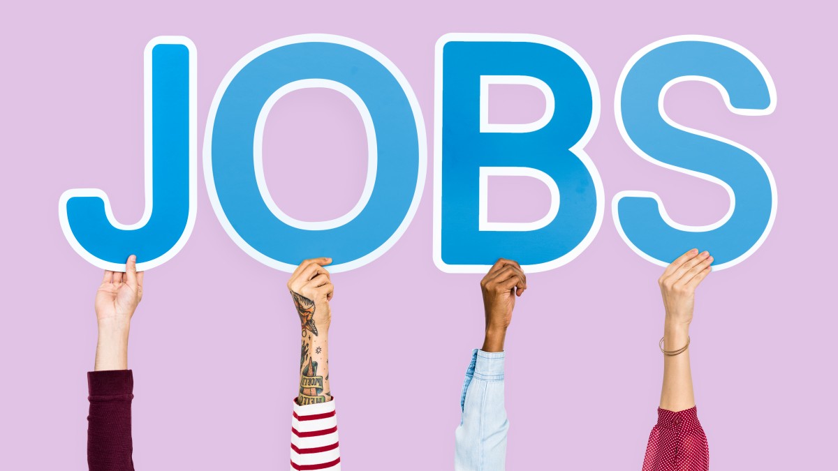 Daily Updated Graduate Jobs in Nigeria Listings