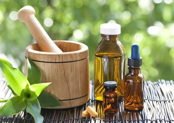 Exploring How Can Plant-Based Supplements Support Stress Management for Better Balance