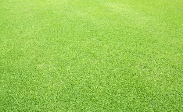 Reasons Homeowners Recommend TurfMark Outdoor Solutions Buford